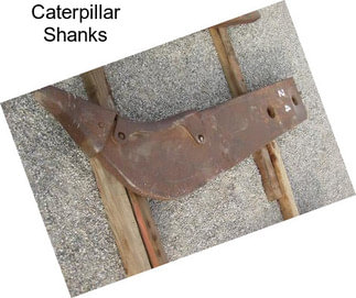 Caterpillar Shanks