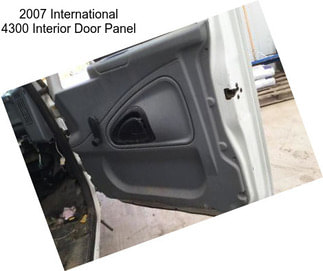 2007 International 4300 Interior Door Panel