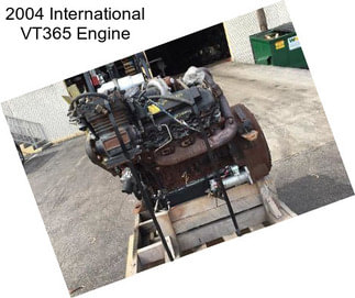 2004 International VT365 Engine