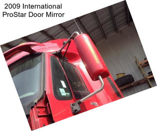 2009 International ProStar Door Mirror