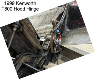 1999 Kenworth T800 Hood Hinge