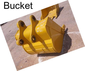 Bucket