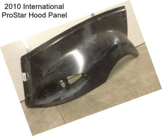 2010 International ProStar Hood Panel