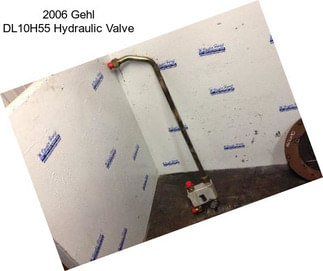 2006 Gehl DL10H55 Hydraulic Valve