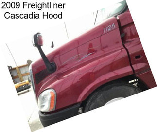 2009 Freightliner Cascadia Hood