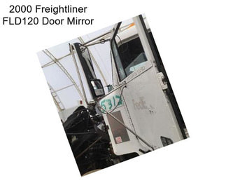 2000 Freightliner FLD120 Door Mirror