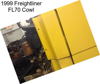 1999 Freightliner FL70 Cowl