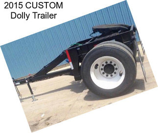 2015 CUSTOM Dolly Trailer