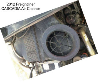 2012 Freightliner CASCADIA Air Cleaner