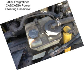 2009 Freightliner CASCADIA Power Steering Reservoir