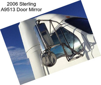 2006 Sterling A9513 Door Mirror