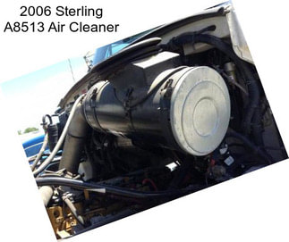 2006 Sterling A8513 Air Cleaner