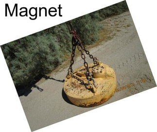 Magnet