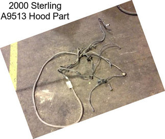 2000 Sterling A9513 Hood Part