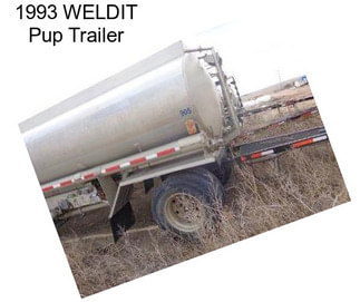 1993 WELDIT Pup Trailer