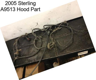 2005 Sterling A9513 Hood Part