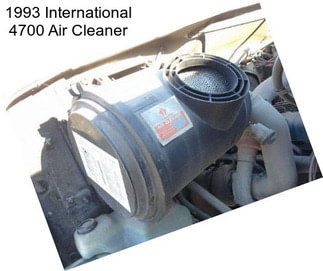 1993 International 4700 Air Cleaner