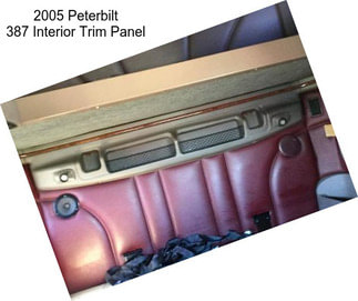 2005 Peterbilt 387 Interior Trim Panel