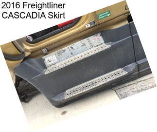 2016 Freightliner CASCADIA Skirt