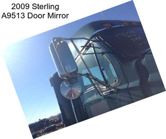 2009 Sterling A9513 Door Mirror