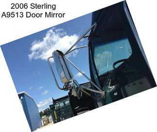 2006 Sterling A9513 Door Mirror