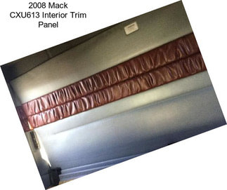 2008 Mack CXU613 Interior Trim Panel