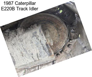 1987 Caterpillar E220B Track Idler