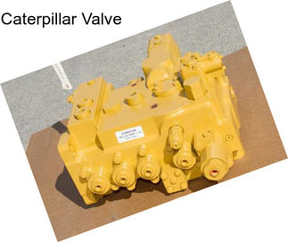 Caterpillar Valve