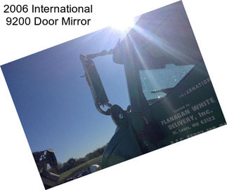 2006 International 9200 Door Mirror