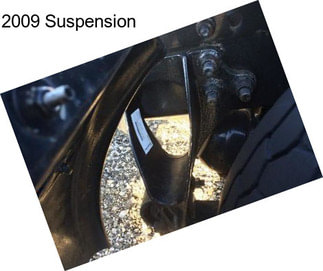 2009 Suspension