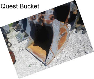 Quest Bucket