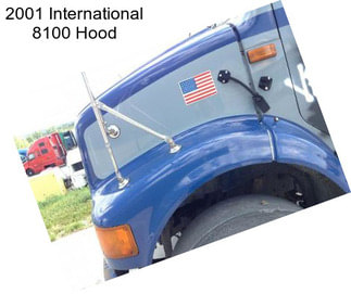 2001 International 8100 Hood