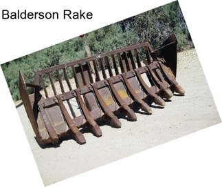 Balderson Rake