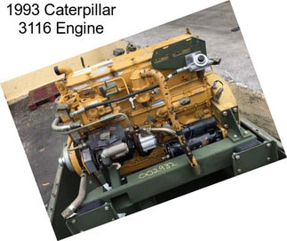 1993 Caterpillar 3116 Engine