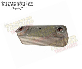 Genuine International Cooler Module 2596173C91 **Free Shipping**