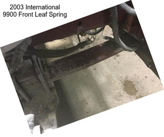 2003 International 9900 Front Leaf Spring