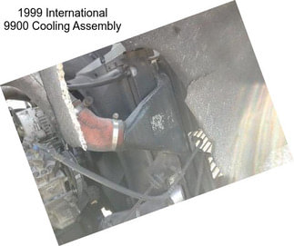 1999 International 9900 Cooling Assembly