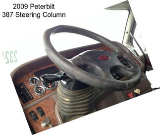 2009 Peterbilt 387 Steering Column