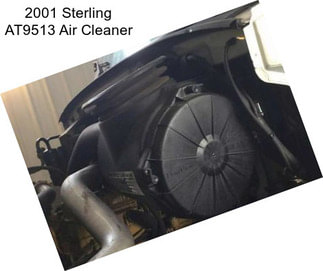 2001 Sterling AT9513 Air Cleaner
