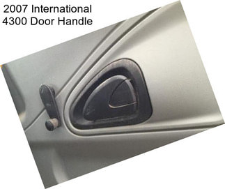 2007 International 4300 Door Handle