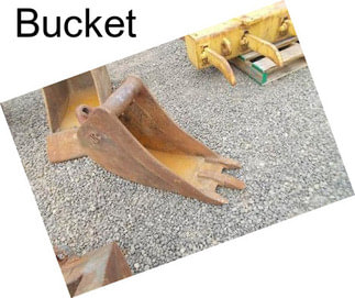 Bucket