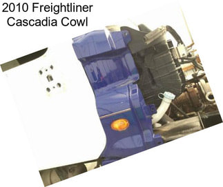 2010 Freightliner Cascadia Cowl