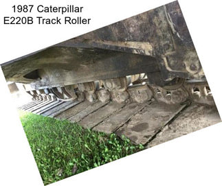 1987 Caterpillar E220B Track Roller