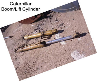 Caterpillar Boom/Lift Cylinder