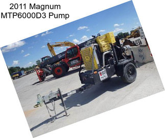 2011 Magnum MTP6000D3 Pump