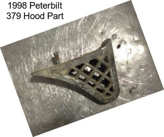 1998 Peterbilt 379 Hood Part