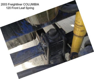 2003 Freightliner COLUMBIA 120 Front Leaf Spring