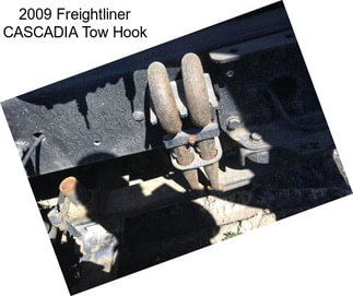 2009 Freightliner CASCADIA Tow Hook