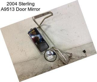 2004 Sterling A9513 Door Mirror