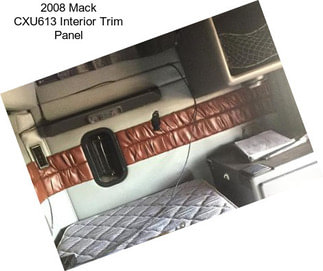 2008 Mack CXU613 Interior Trim Panel